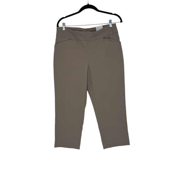 NWTs Chico’s Size 1 (8) Taupe Rayon/Nylon/Span Perfect Stretch Josie Capri Pants - Picture 1 of 14